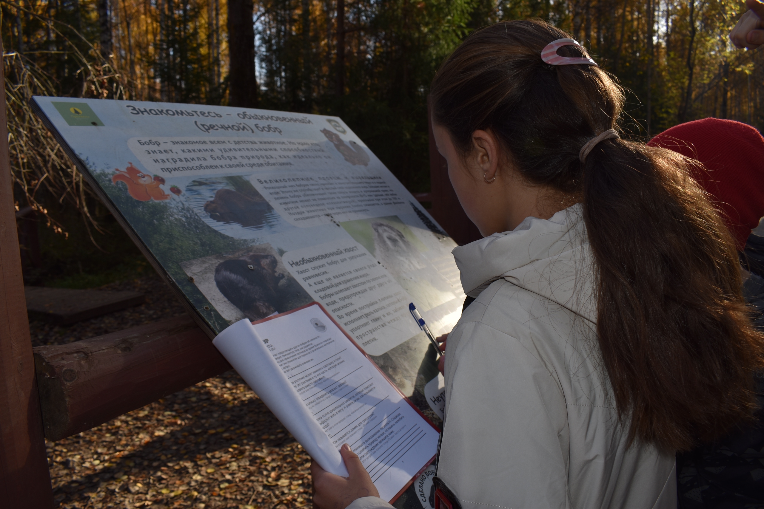  В Перми успешно реализован проект «ЭКОЛОГИКА» — серия экологических квестов на особо охраняемых природных территориях города